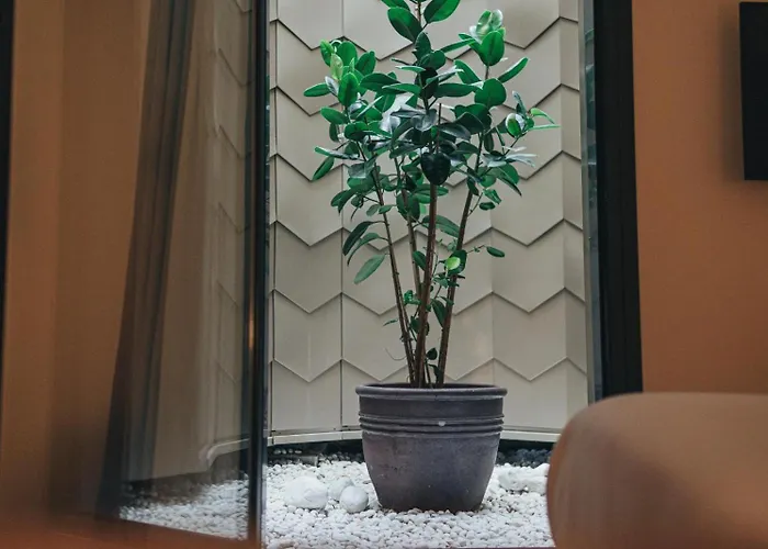 Arbaso ホテル サン・セバスティアン