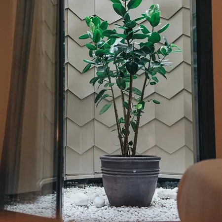 Arbaso Hotell San Sebastián